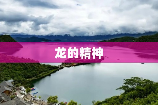 龙的精神：不屈不挠、勇往直前