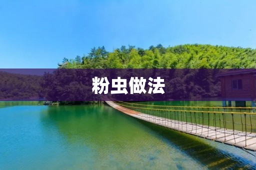 粉虫做法:让你轻松享受美味 粉虫做法:让你轻松享受美味
