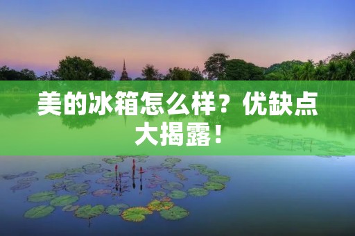 美的冰箱怎么样?优缺点大揭露! 美的冰箱怎么样?优缺点大揭露!
