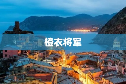 橙衣将军:一位传奇的军事统帅 橙衣将军:一位传奇的军事统帅