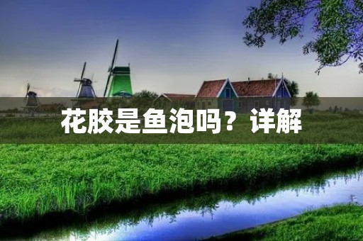 花胶是鱼泡吗?详解