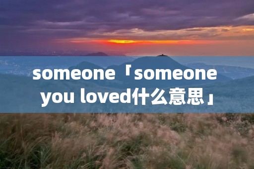 someone「someone you loved什么意思」
