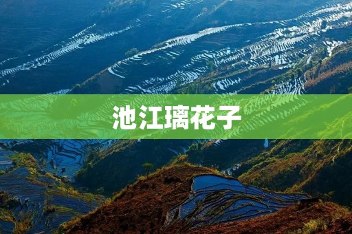 池江璃花子:她的游泳之路与她的人生之路 池江璃花子:她的游泳之路与她的人生之路