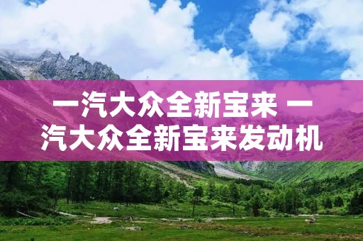 一汽大众全新宝来 一汽大众全新宝来发动机故障灯