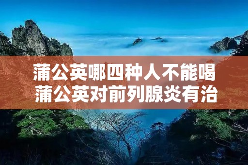 蒲公英哪四种人不能喝 蒲公英对前列腺炎有治疗作用吗