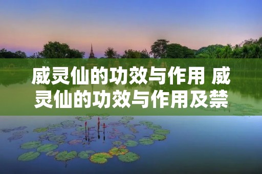 威灵仙的功效与作用 威灵仙的功效与作用及禁忌