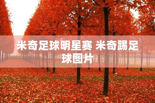 米奇足球明星赛 米奇踢足球图片 米奇足球明星赛 米奇踢足球图片