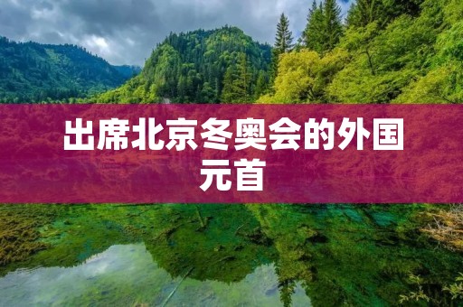 出席北京冬奥会的外国元首:推动全球冬季运动发展的新机遇