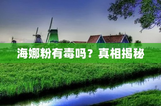 海娜粉有毒吗?真相揭秘