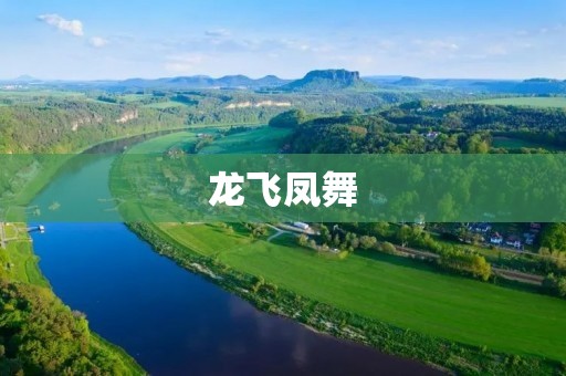 龙飞凤舞：古代神话中的神奇之舞