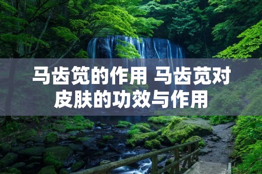 马齿笕的作用 马齿苋对皮肤的功效与作用