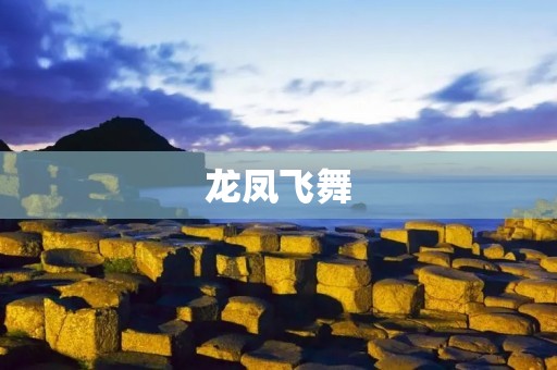 龙凤飞舞:中华文化的瑰宝