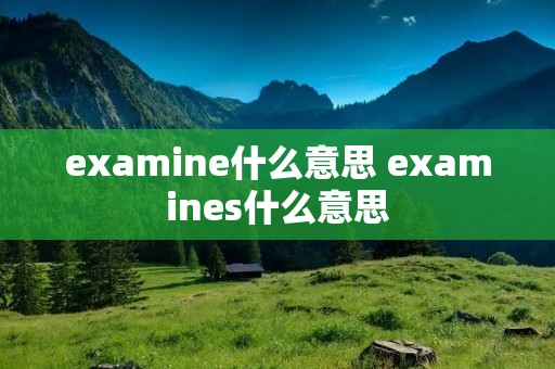 examine什么意思 examines什么意思