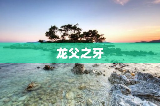 龙父之牙:一部扣人心弦的奇幻小说