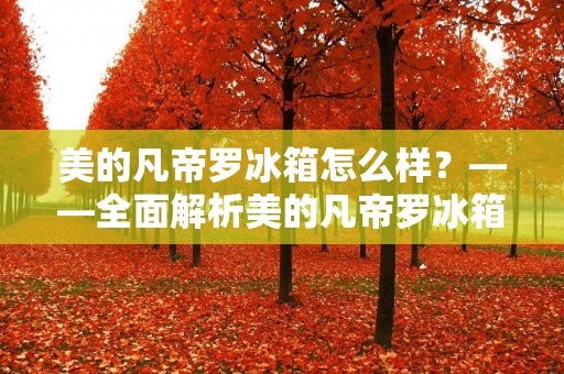 美的凡帝罗冰箱怎么样？——全面解析美的凡帝罗冰箱的优劣