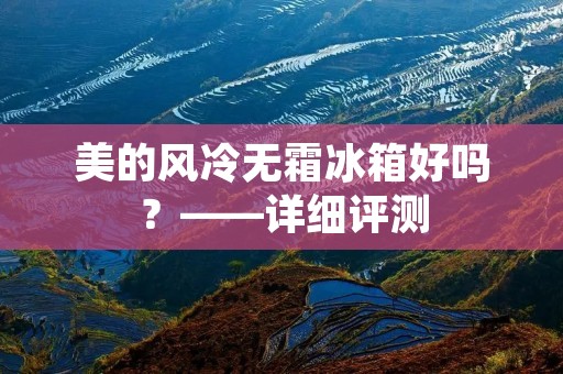 美的风冷无霜冰箱好吗?——详细评测 美的风冷无霜冰箱好吗?——详细评测