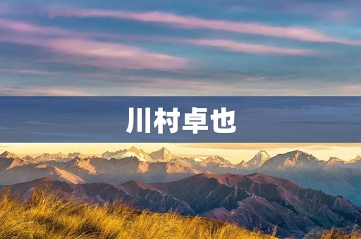 川村卓也：一个年轻有为的日本足球运动员
