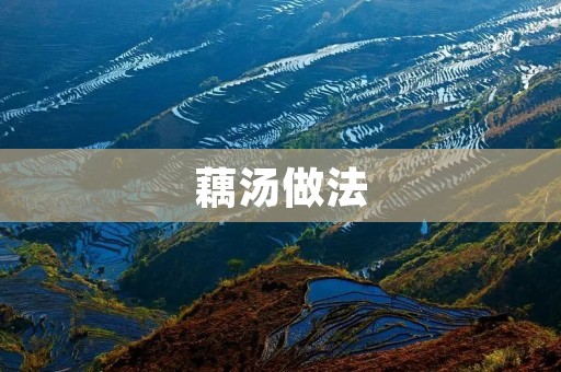 藕汤做法:营养丰富的家常菜 藕汤做法:营养丰富的家常菜