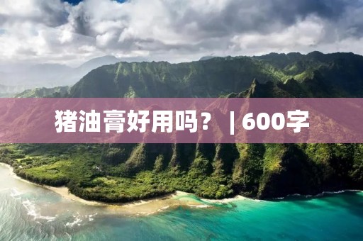 猪油膏好用吗? | 600字