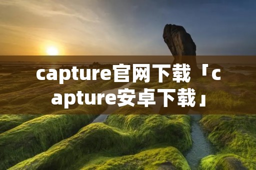 capture官网下载「capture安卓下载」 capture官网下载「capture安卓下载」