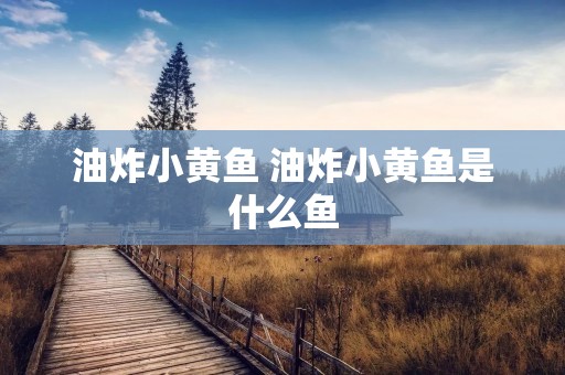油炸小黄鱼 油炸小黄鱼是什么鱼