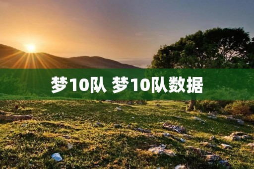 梦10队 梦10队数据