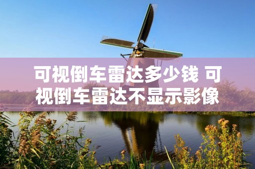 可视倒车雷达多少钱 可视倒车雷达不显示影像