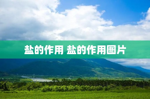 盐的作用 盐的作用图片