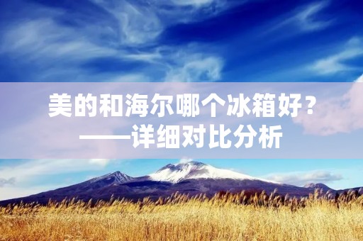 美的和海尔哪个冰箱好?——详细对比分析 美的和海尔哪个冰箱好?——详细对比分析