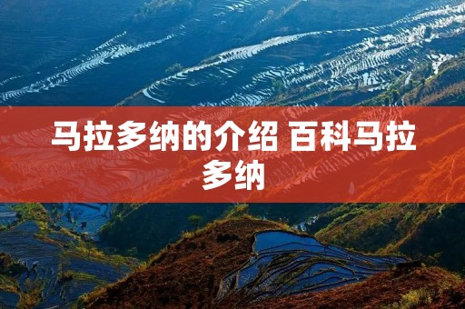 马拉多纳的介绍 百科马拉多纳 马拉多纳的介绍 百科马拉多纳