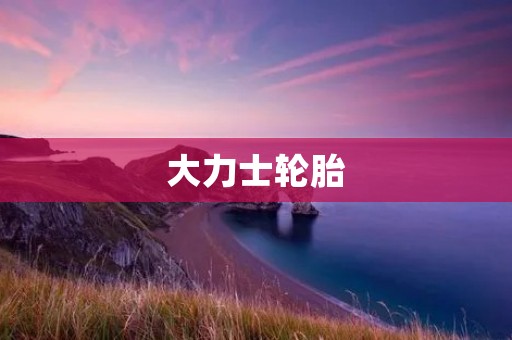 大力士轮胎:质量卓越,保驾护航 大力士轮胎:质量卓越,保驾护航
