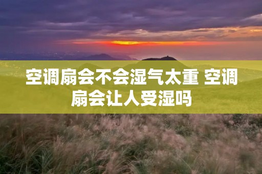 空调扇会不会湿气太重 空调扇会让人受湿吗 空调扇会不会湿气太重 空调扇会让人受湿吗