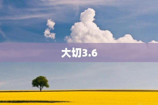 大切3.6:打造一个高效稳定的团队 大切3.6:打造一个高效稳定的团队