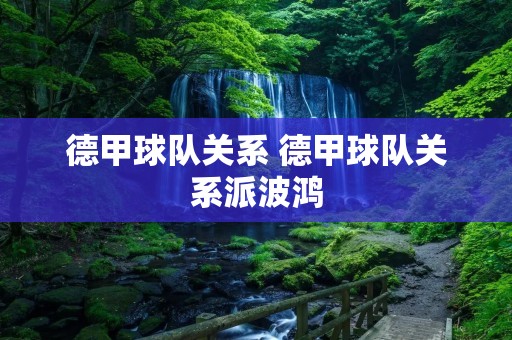 德甲球队关系 德甲球队关系派波鸿 德甲球队关系 德甲球队关系派波鸿