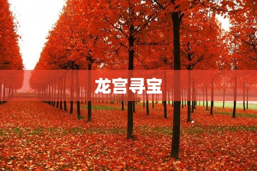 龙宫寻宝:寻找神秘宝藏的冒险之旅