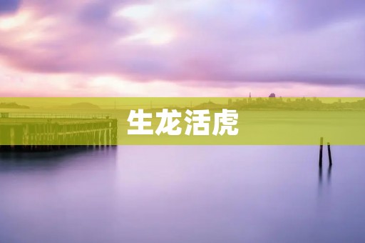 生龙活虎:活力四射的人生态度
