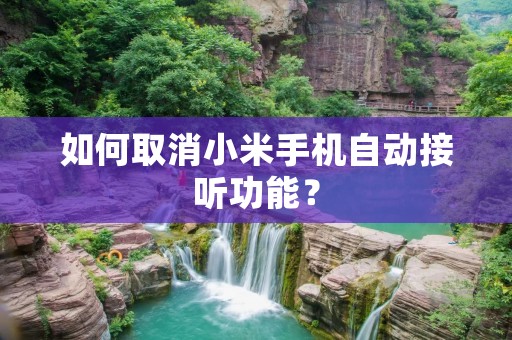 如何取消小米手机自动接听功能?