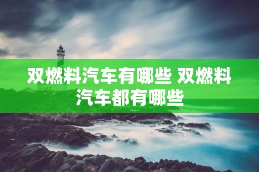 双燃料汽车有哪些 双燃料汽车都有哪些 双燃料汽车有哪些 双燃料汽车都有哪些