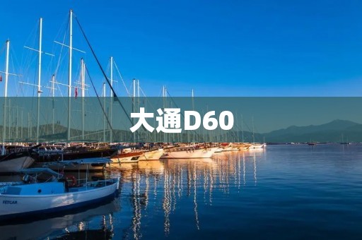 大通D60:颠覆你对国产车的认知 大通D60:颠覆你对国产车的认知