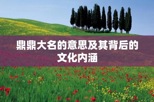 鼎鼎大名的意思及其背后的文化内涵