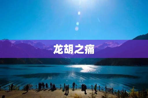 龙胡之痛:一位玩家的游戏经历