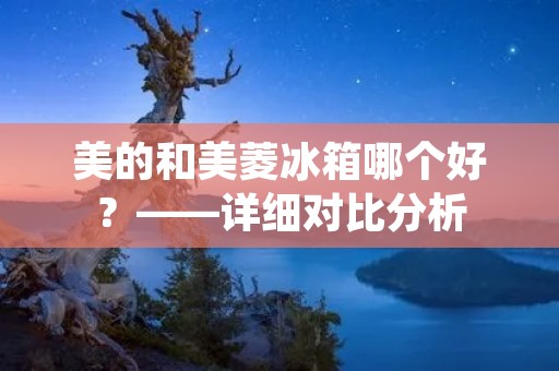 美的和美菱冰箱哪个好？——详细对比分析