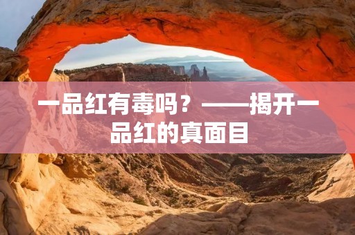 一品红有毒吗?——揭开一品红的真面目