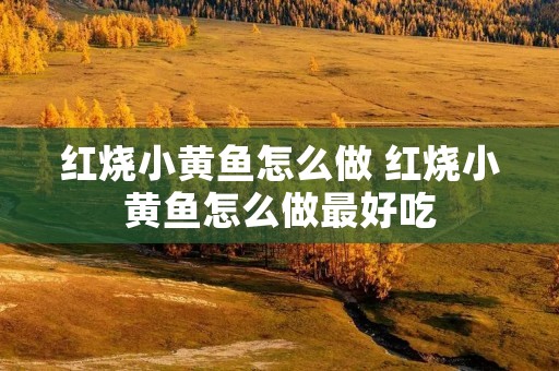 红烧小黄鱼怎么做 红烧小黄鱼怎么做最好吃