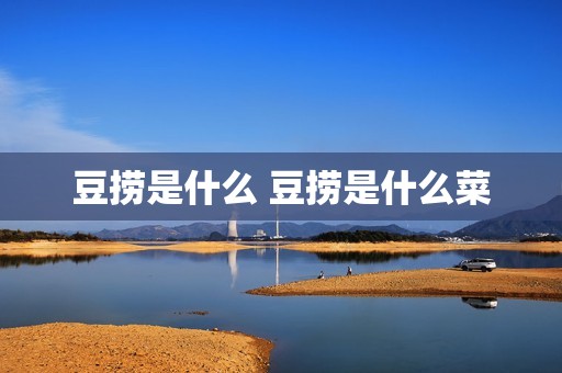 豆捞是什么 豆捞是什么菜