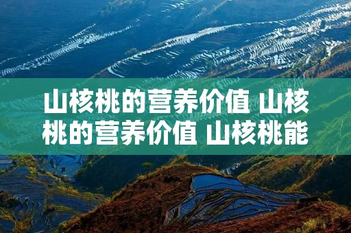 山核桃的营养价值 山核桃的营养价值 山核桃能治疗的疾病 山核桃的营养价值 山核桃的营养价值 山核桃能治疗的疾病