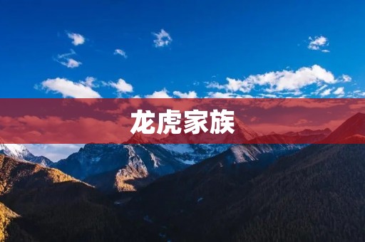 龙虎家族:独具特色的江湖势力