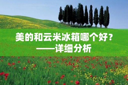 美的和云米冰箱哪个好?——详细分析 美的和云米冰箱哪个好?——详细分析