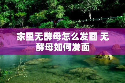 家里无酵母怎么发面 无酵母如何发面 家里无酵母怎么发面 无酵母如何发面