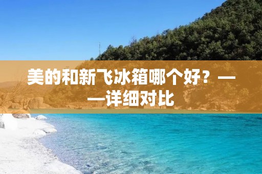 美的和新飞冰箱哪个好?——详细对比 美的和新飞冰箱哪个好?——详细对比